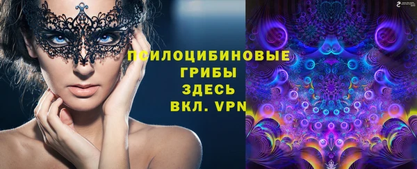 герыч Алексин
